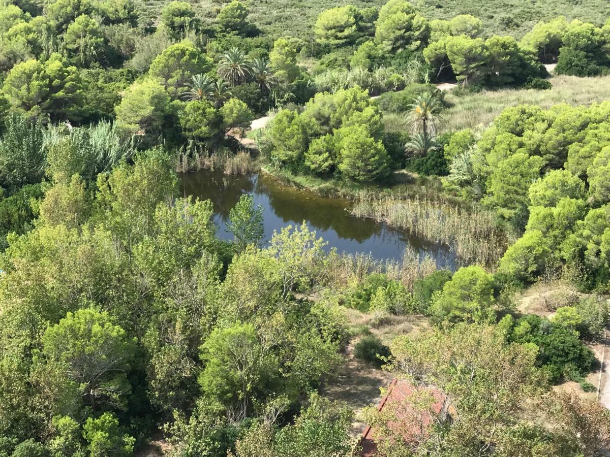 Gran Apartamento, Un Lujo En Playa El Saler - Valencia Εξωτερικό φωτογραφία